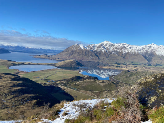 Your Essential Guide to Migrating to New Zealand